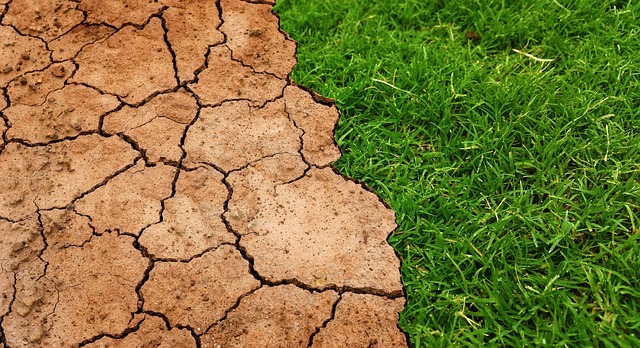 Призив за действие: Подхранване на растенията посред несигурността на климата